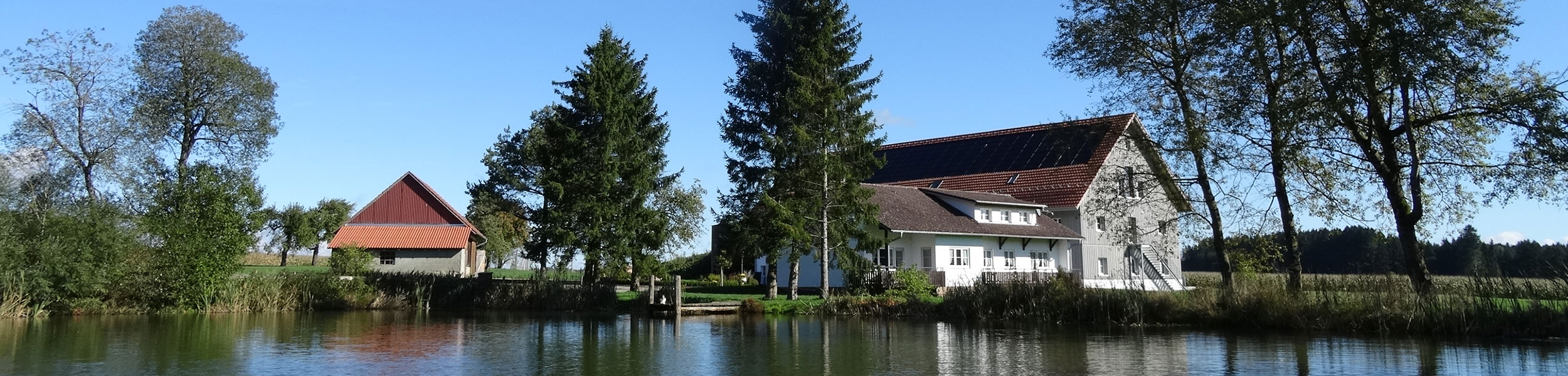 immobilien